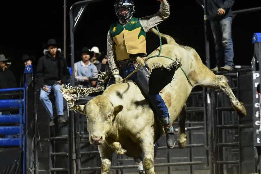 NDSU Alumni Lathan Demontigny Riding Bull at Rodeo
