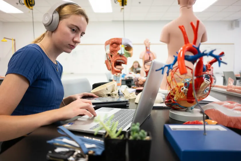 Biological Sciences student work on the computer in the midst of anatomy models