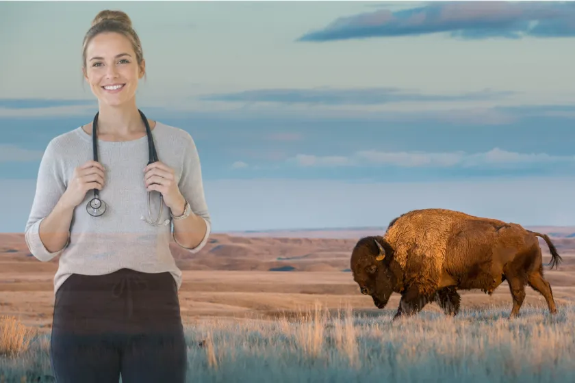 Nurse stethoscope out in prairie with a bison