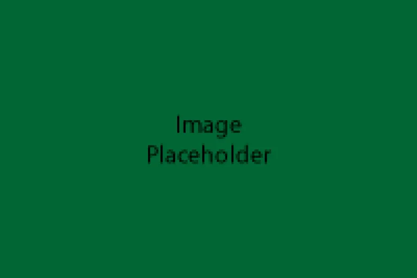 Place Holder