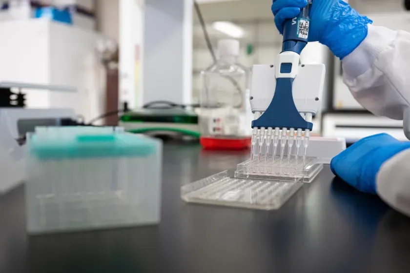 Photo of researcher examining samples