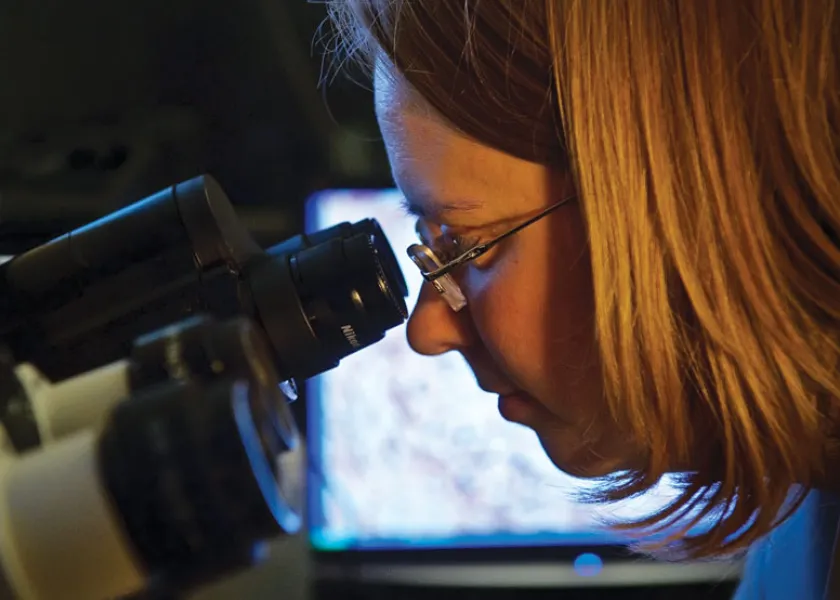 Student using a microscope