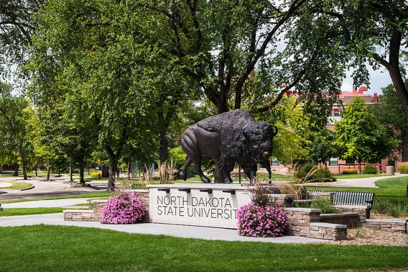 Image of bison statue on campus