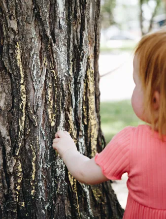 Young girl with red hair uses chalk to draw on the bark of a tree