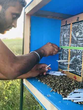 a student prepares a box for research into bees