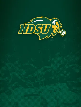 Bison football wallpaper