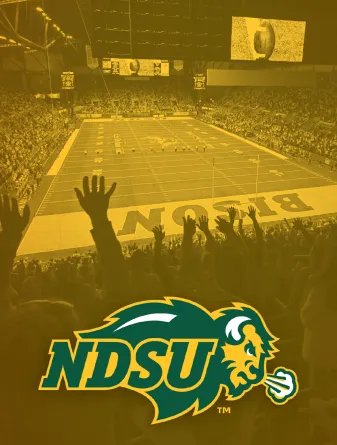 football crowd graphic wallpaper for phone