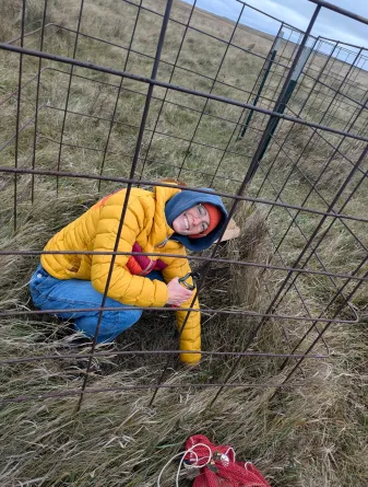 Sallie Sherman clipping cages