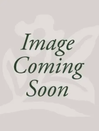 Image Coming Soon