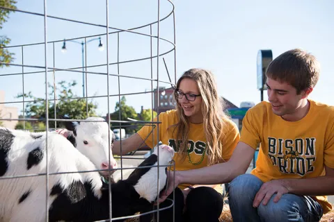Homecoming Parade 2017 - Homecoming Parade 10-1
