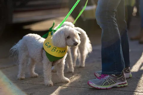 Homecoming Parade 2017 - Homecoming Parade 474
