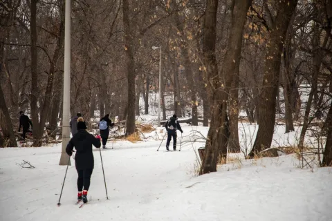 Photo of cross country skiers 