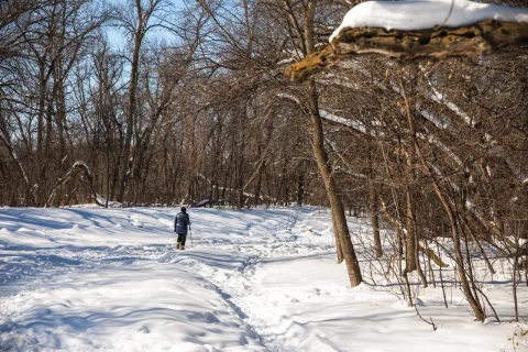 Photo of a hiker in winter