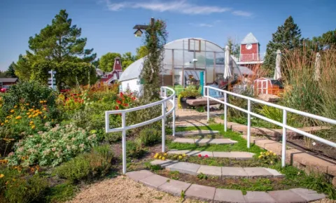 Photo of butterfly garden