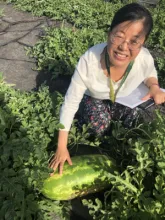 Xinhua Jia, NDSU professor of agricultural and biosystem engineering