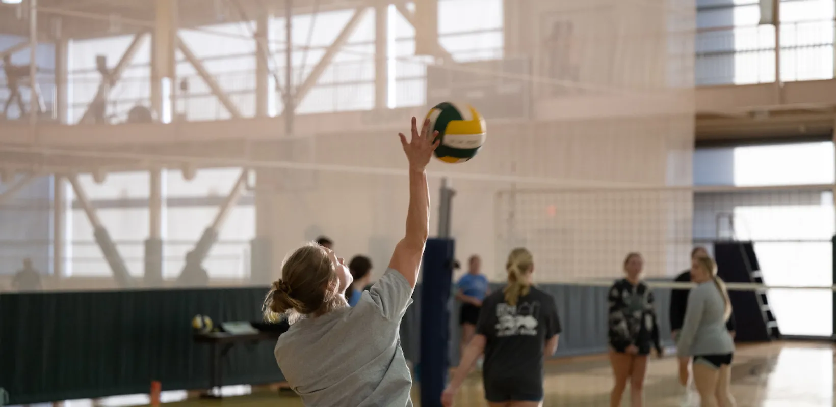 people playing volleyball