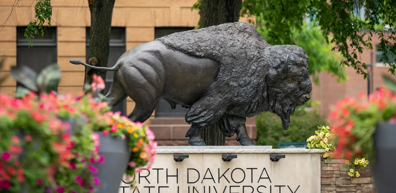 Bison Statue