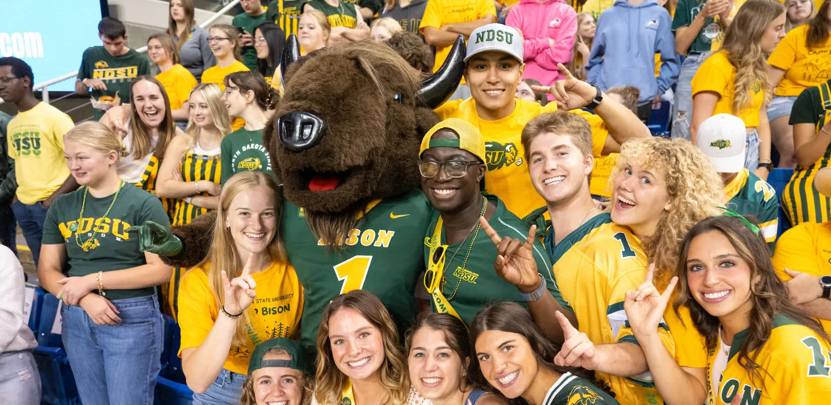 Thundar in the crowd with football fans