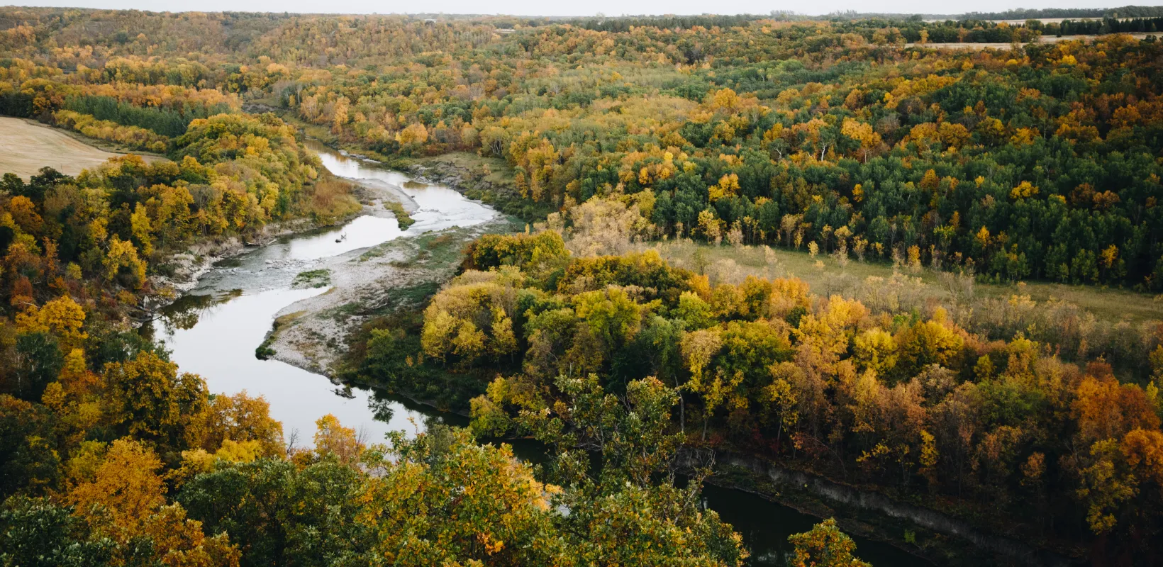 Overlook view of landscape with a meandering river and deciduous trees that are turning colors for the fall season