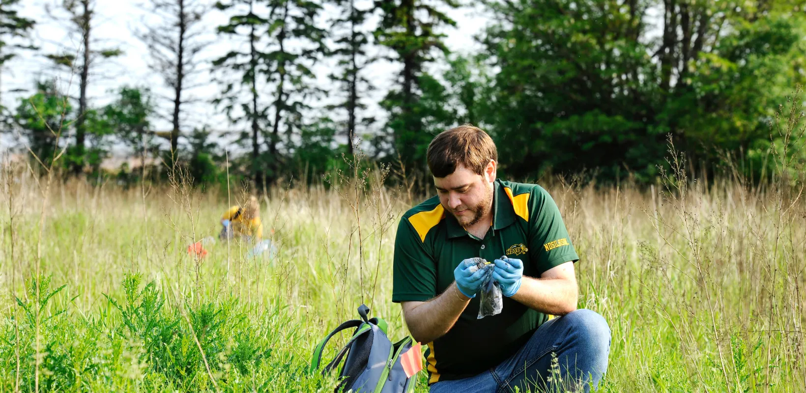 students collecting samples in a grassy field