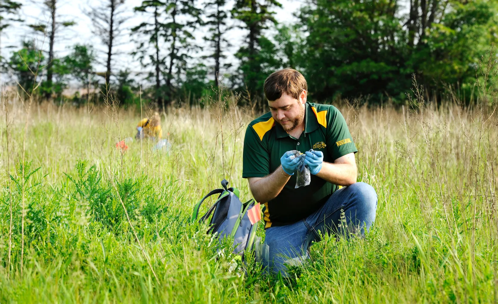 gradudate students collecting samples in a grassy field