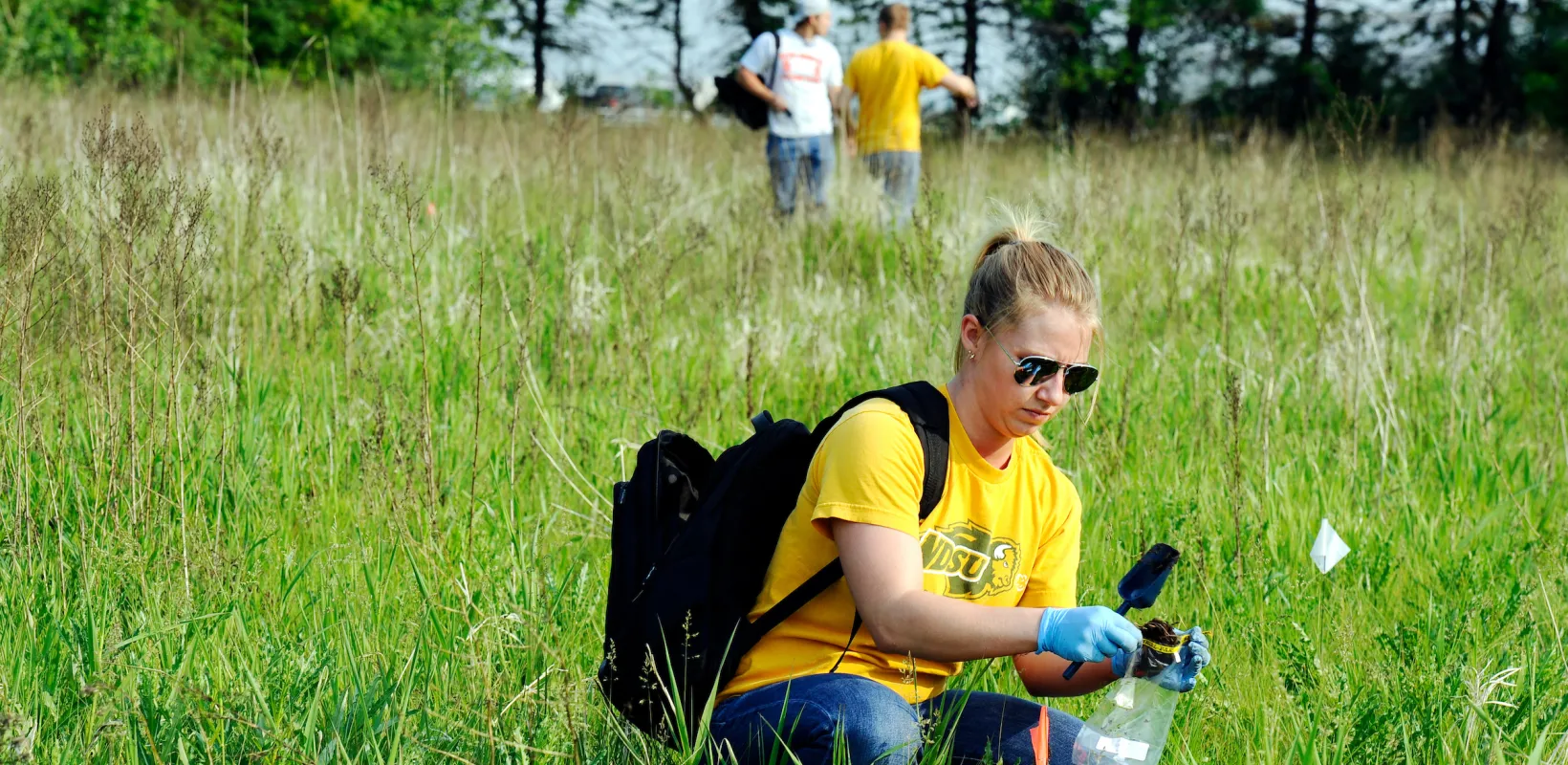 students collecting samples in a grassy field