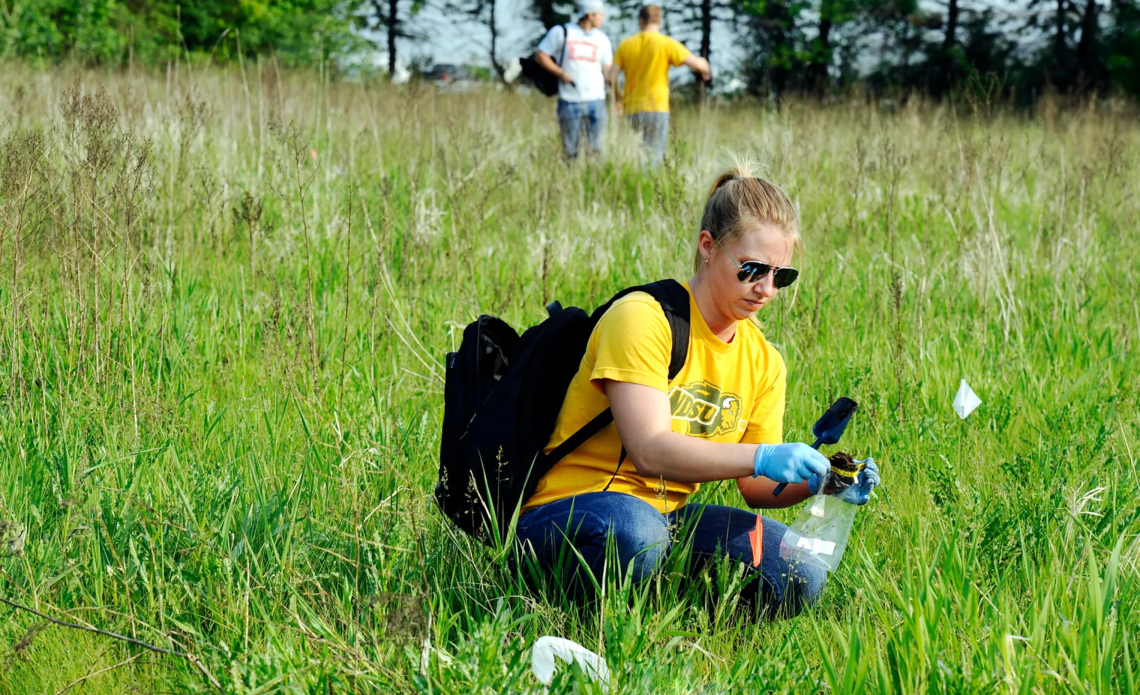 students collecting samples in a grassy field