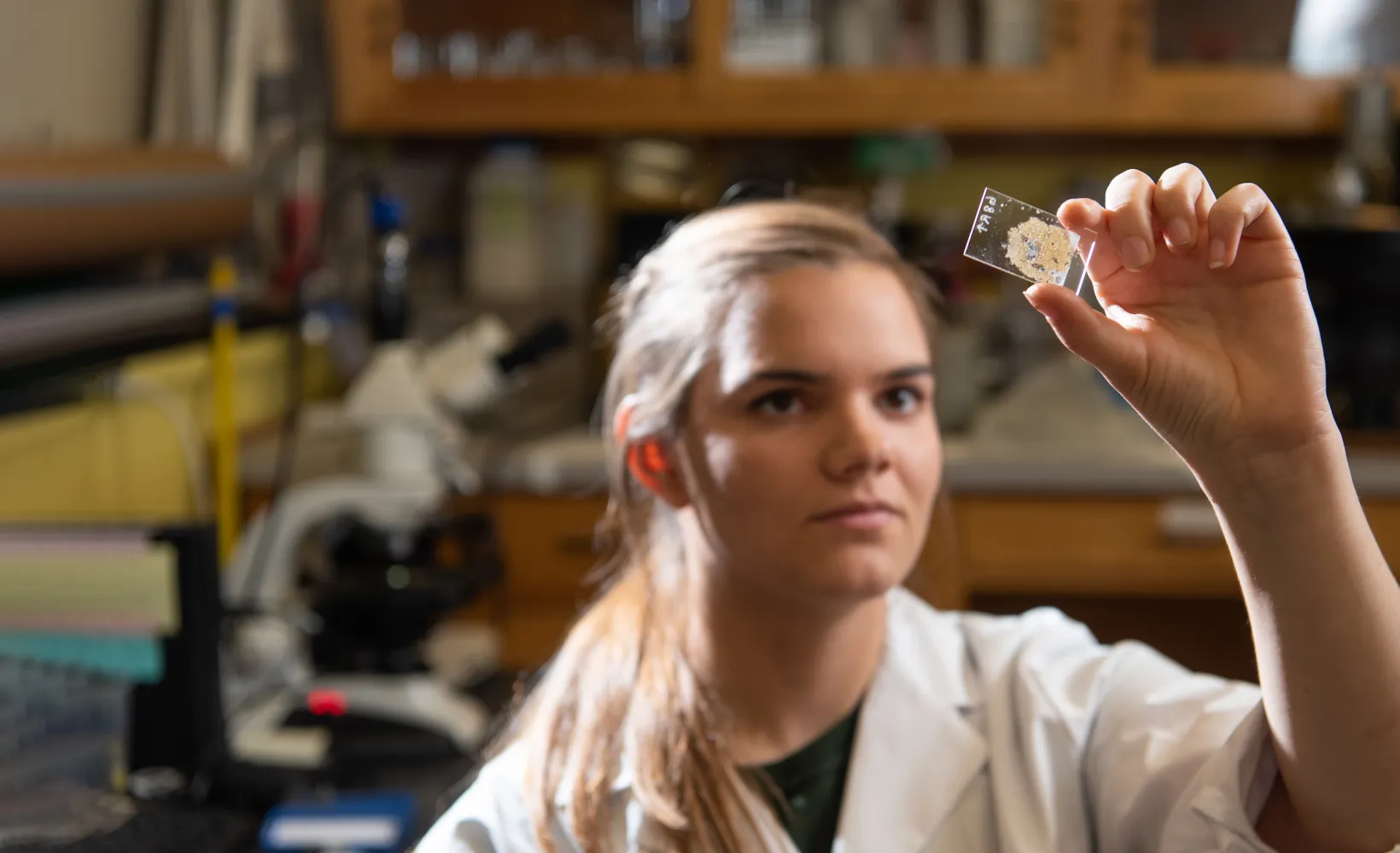 Soil Science student viewing a sample in a lab