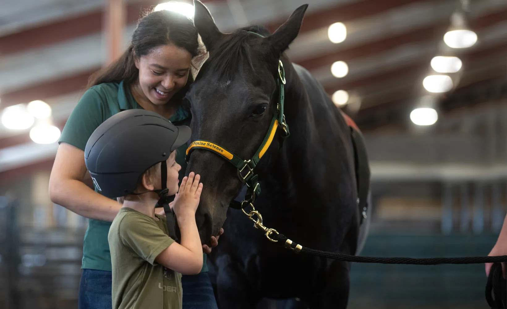 Equine science student working with a horse and young boy