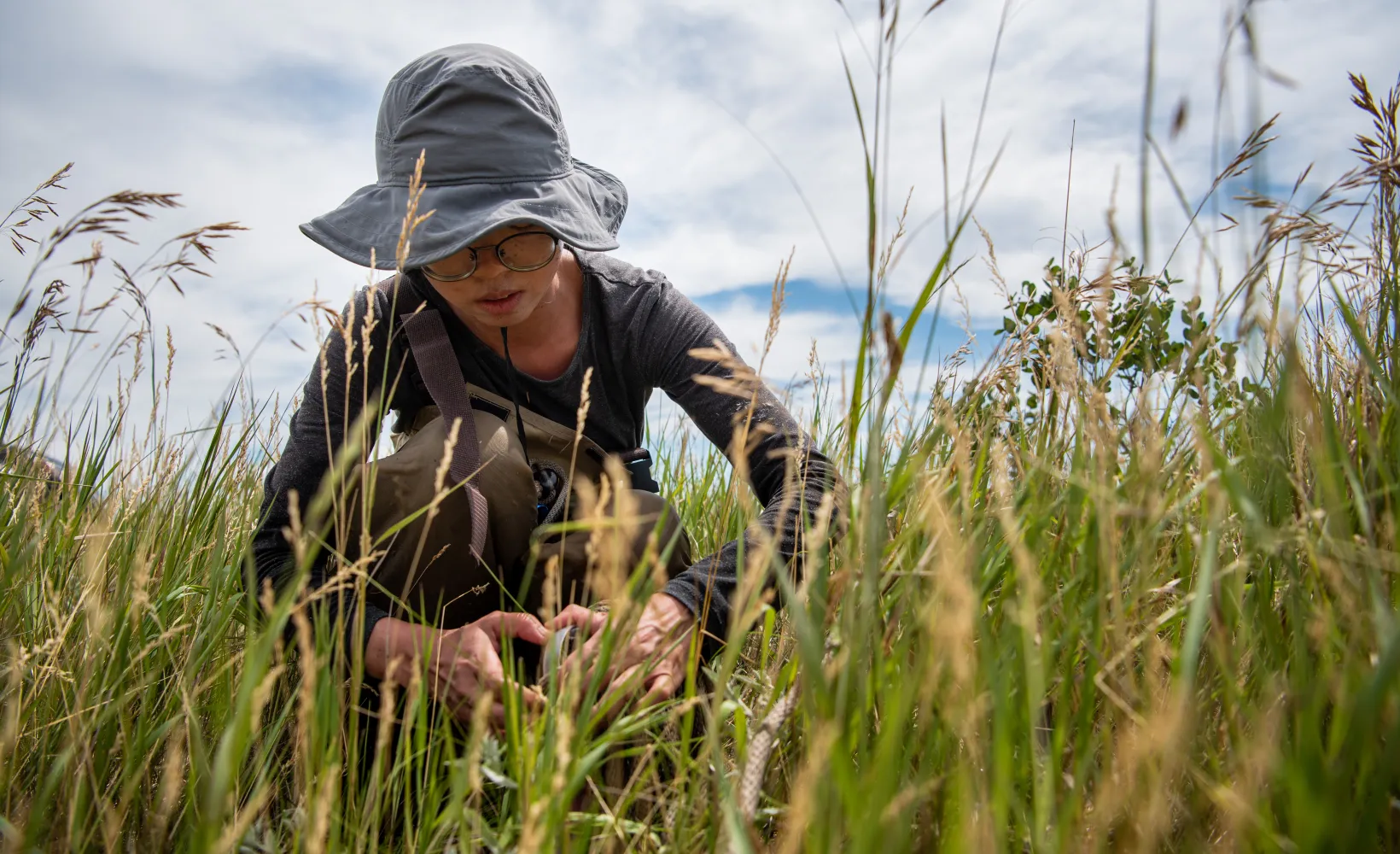 Research student working in a field with tall grasses