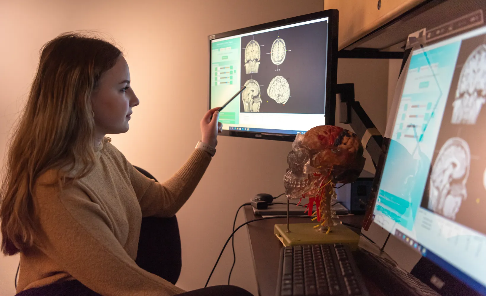student studying scans of a human brain