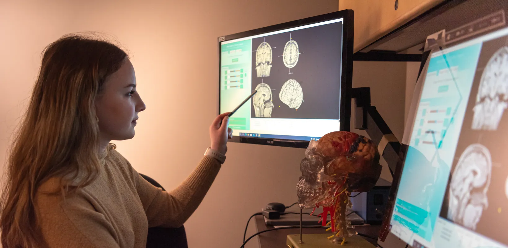 student studying scans of a human brain