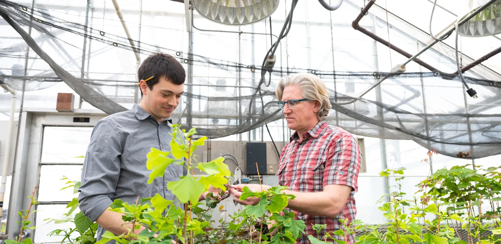 professor and student looking at plants in a green house