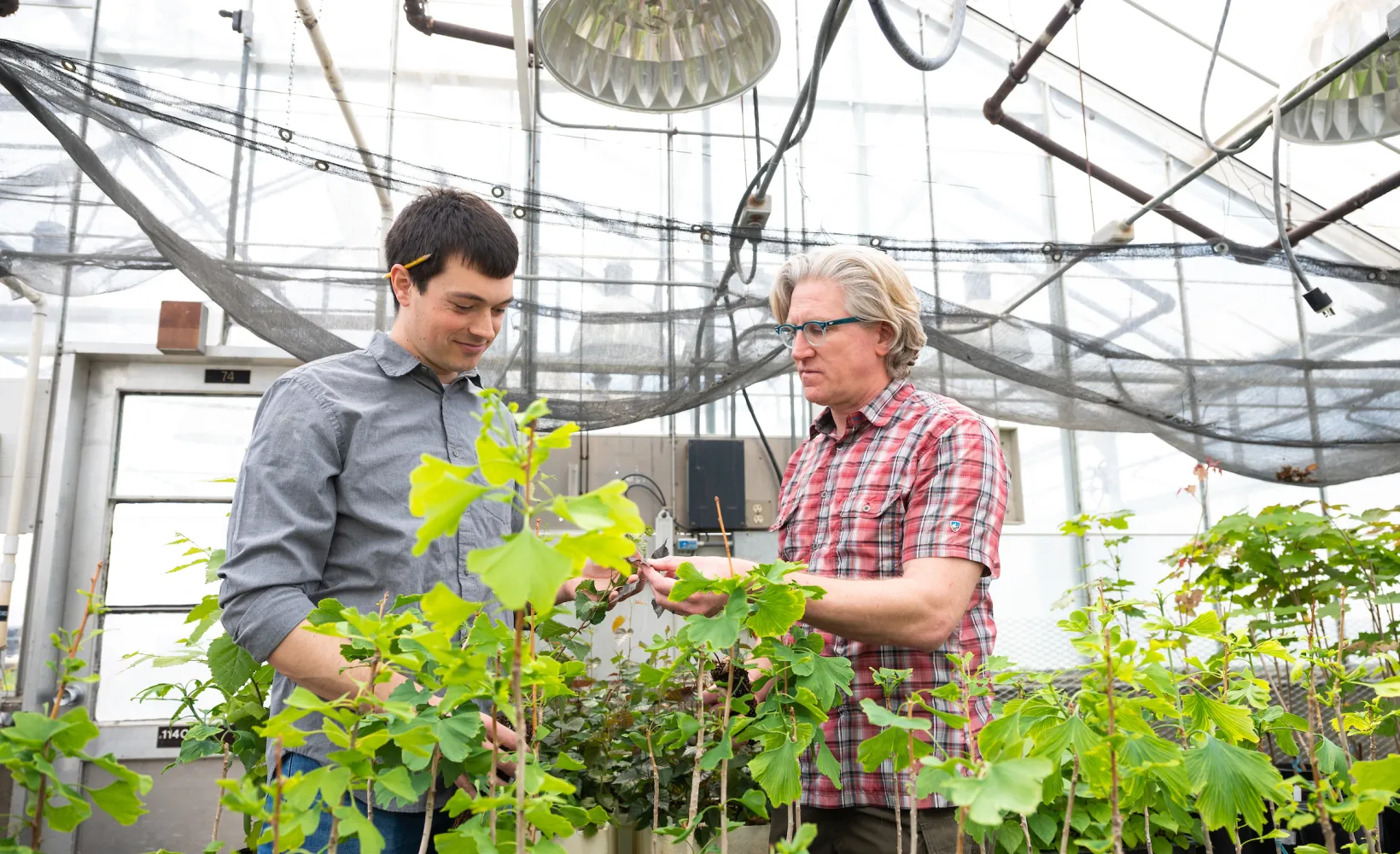 professor and student looking at plants in a green house