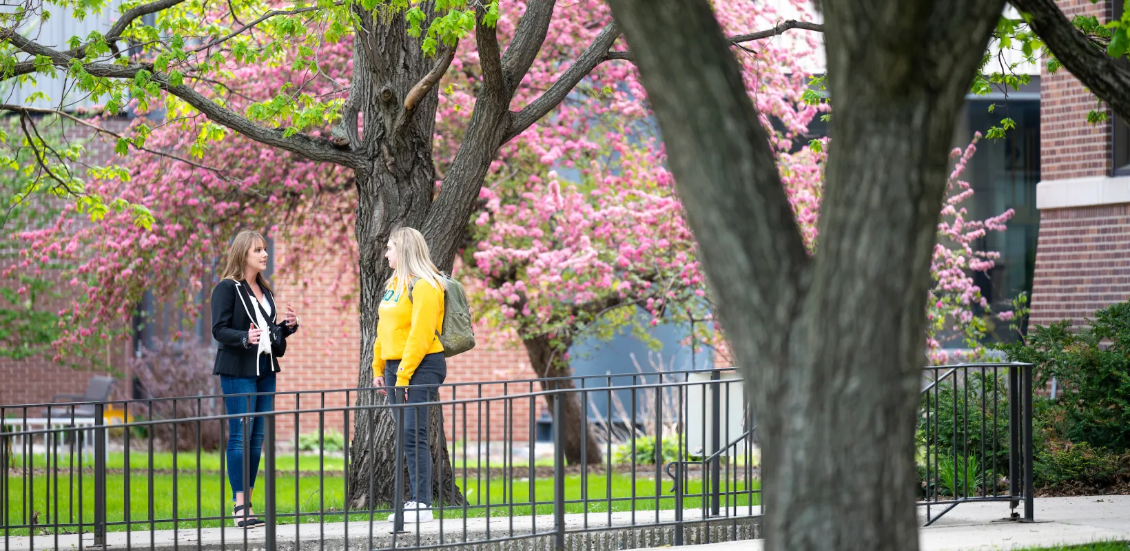students standing outside on campus