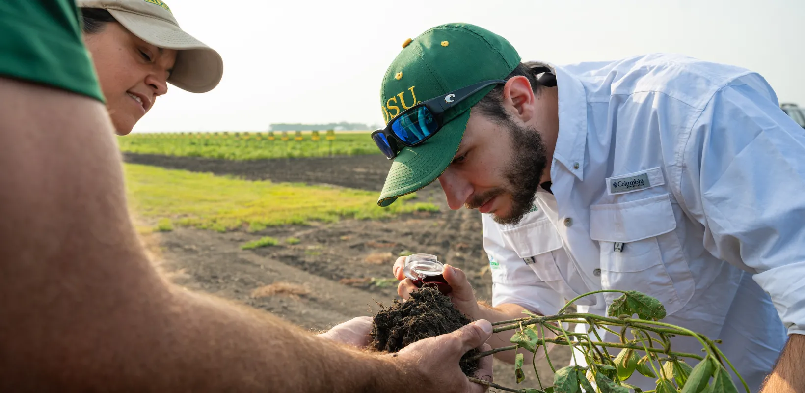 students examining the root structure of a plant