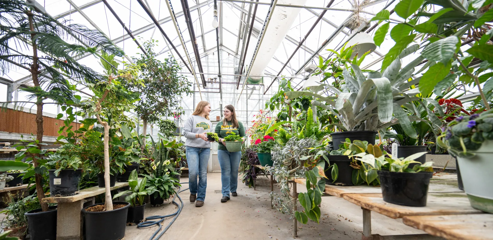 students walking in a greenhouse