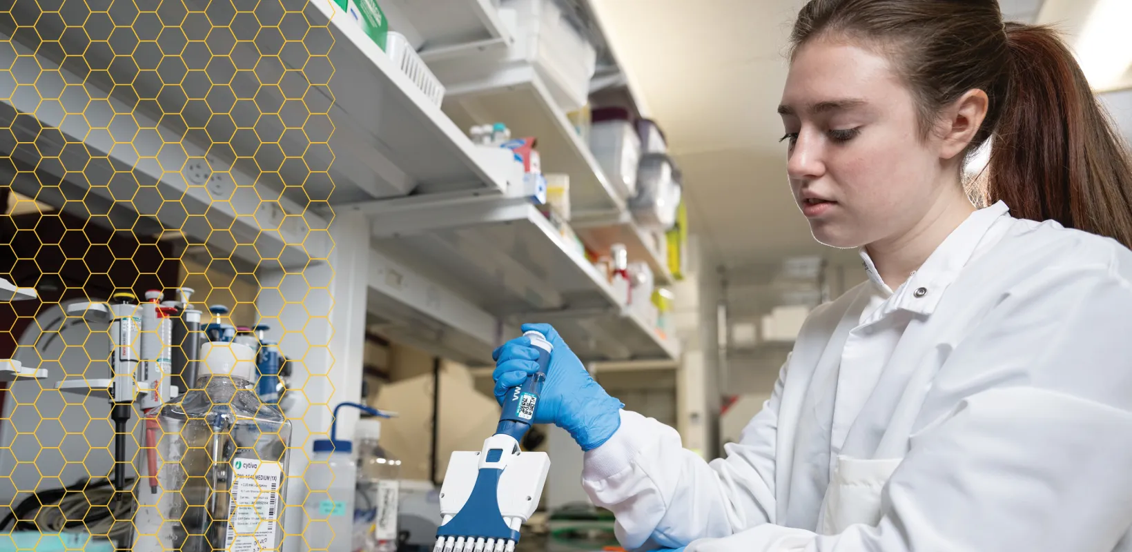 Health and Human Sciences student working in the lab