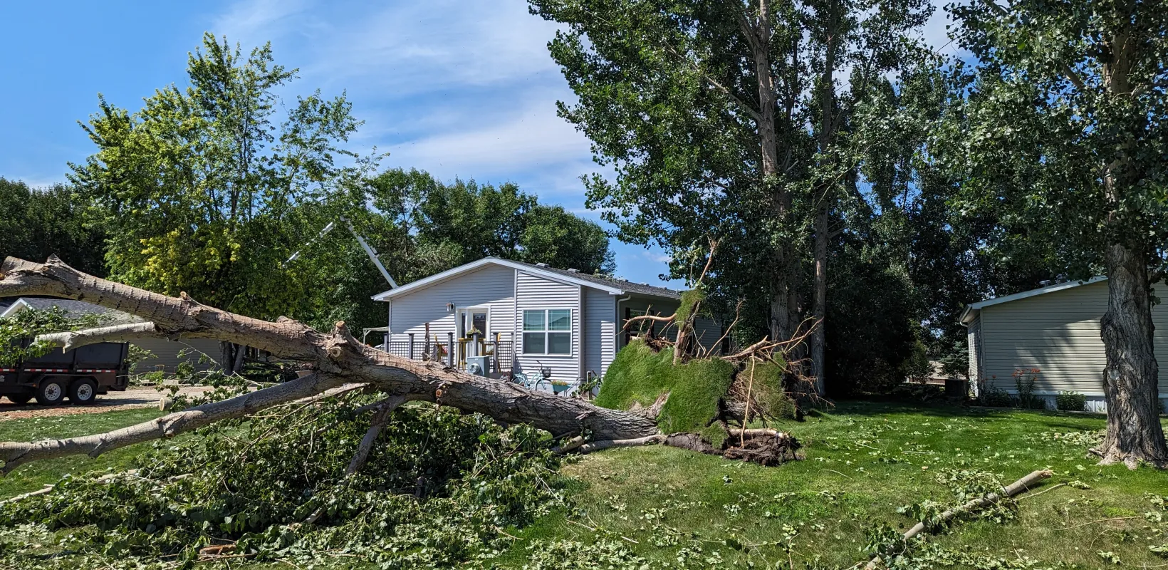 A tree fallen over in front of a trailer home
