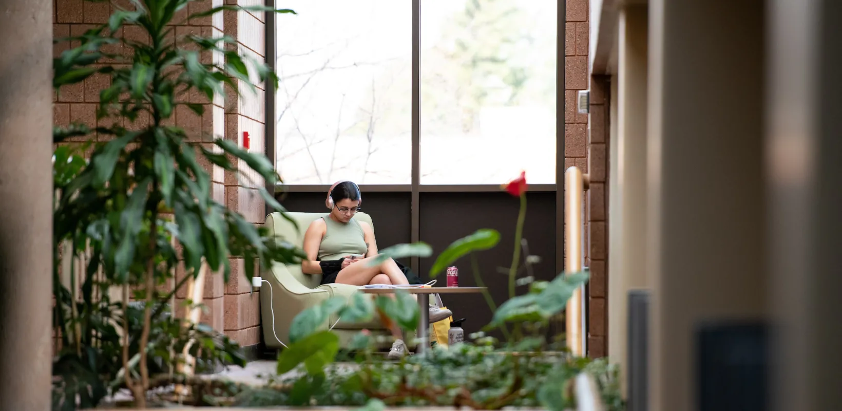 student studying in the library