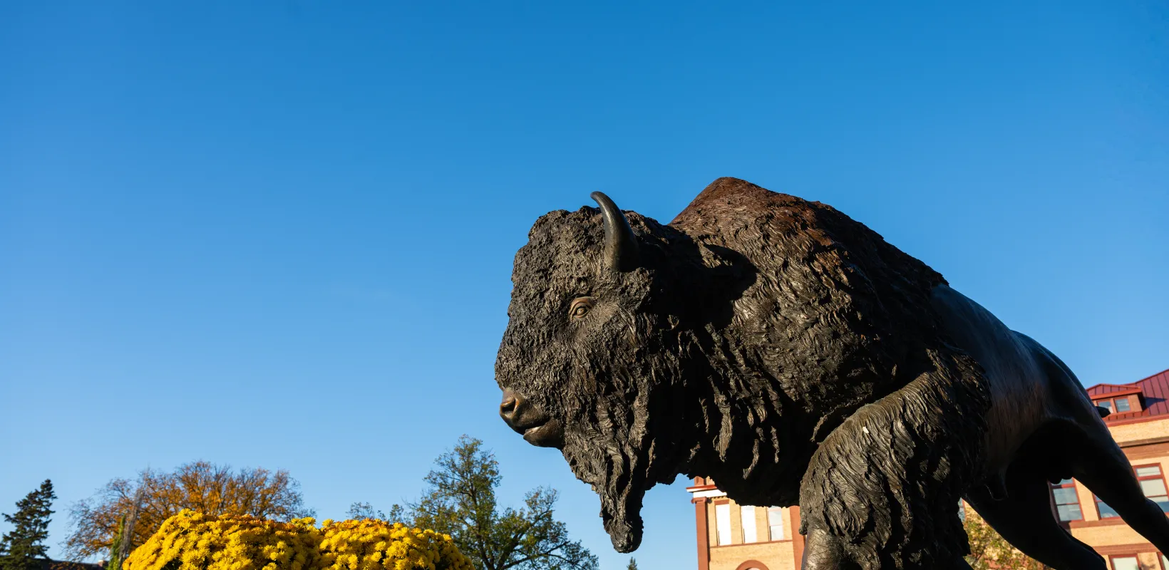 Bison Statue