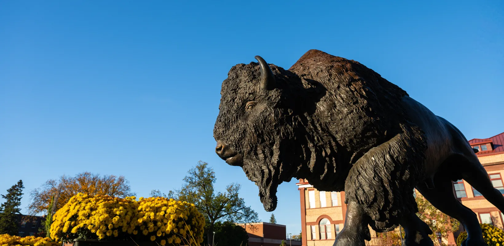 Bison Statue
