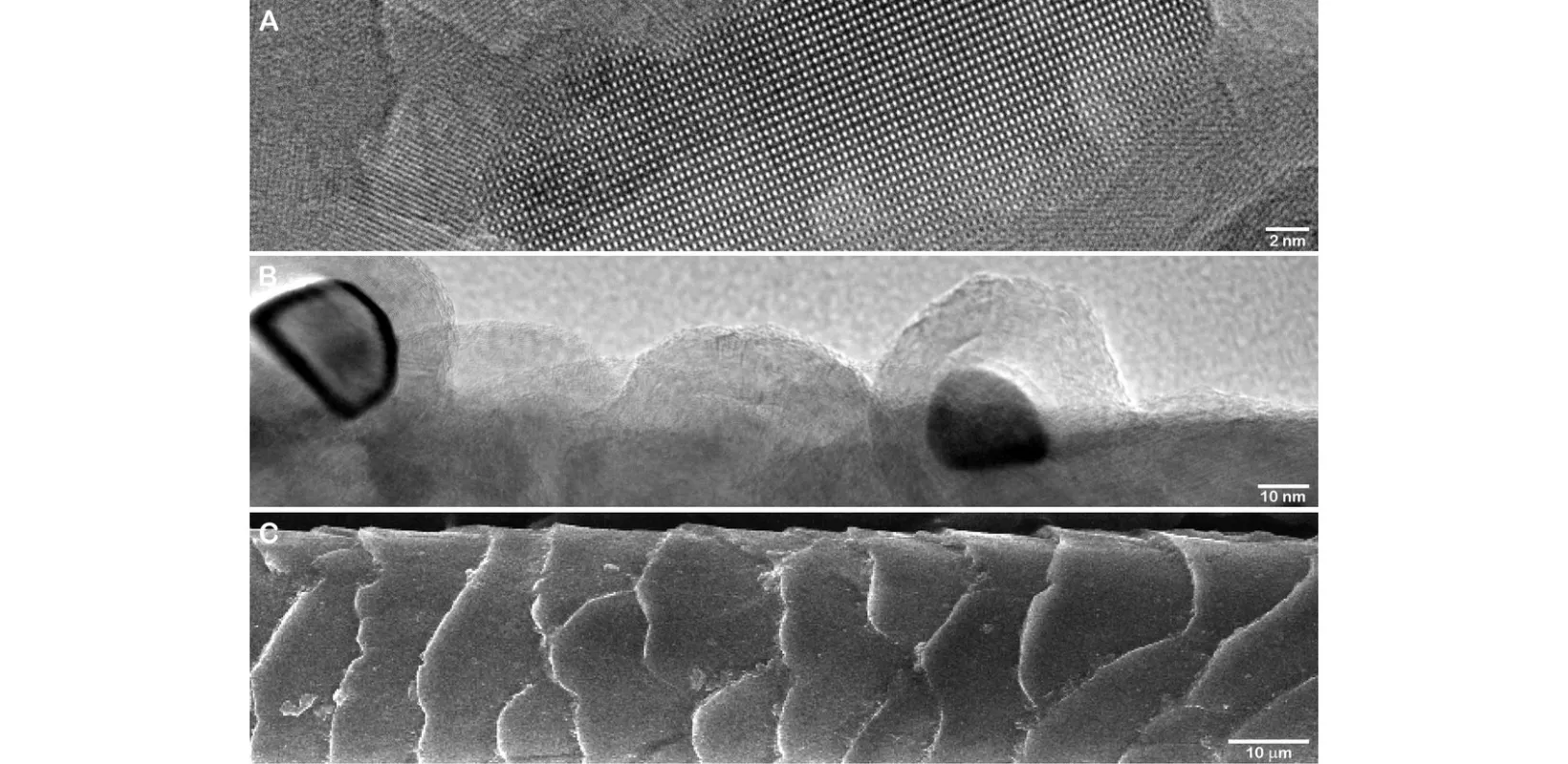 Electron microscope image showing three images: hydroxyapatite, polyacrylonitrile, and cat hair