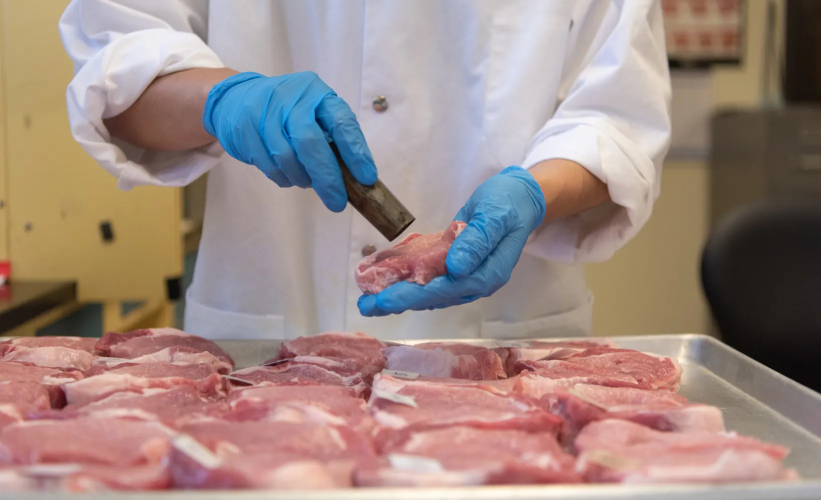 close up of student doing research on meat