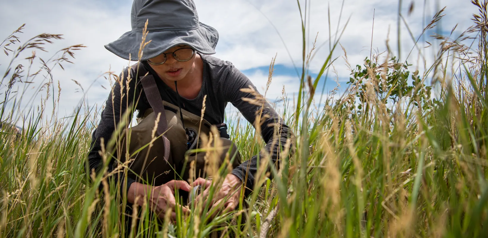 student collecting soil samples as part of wetlands research