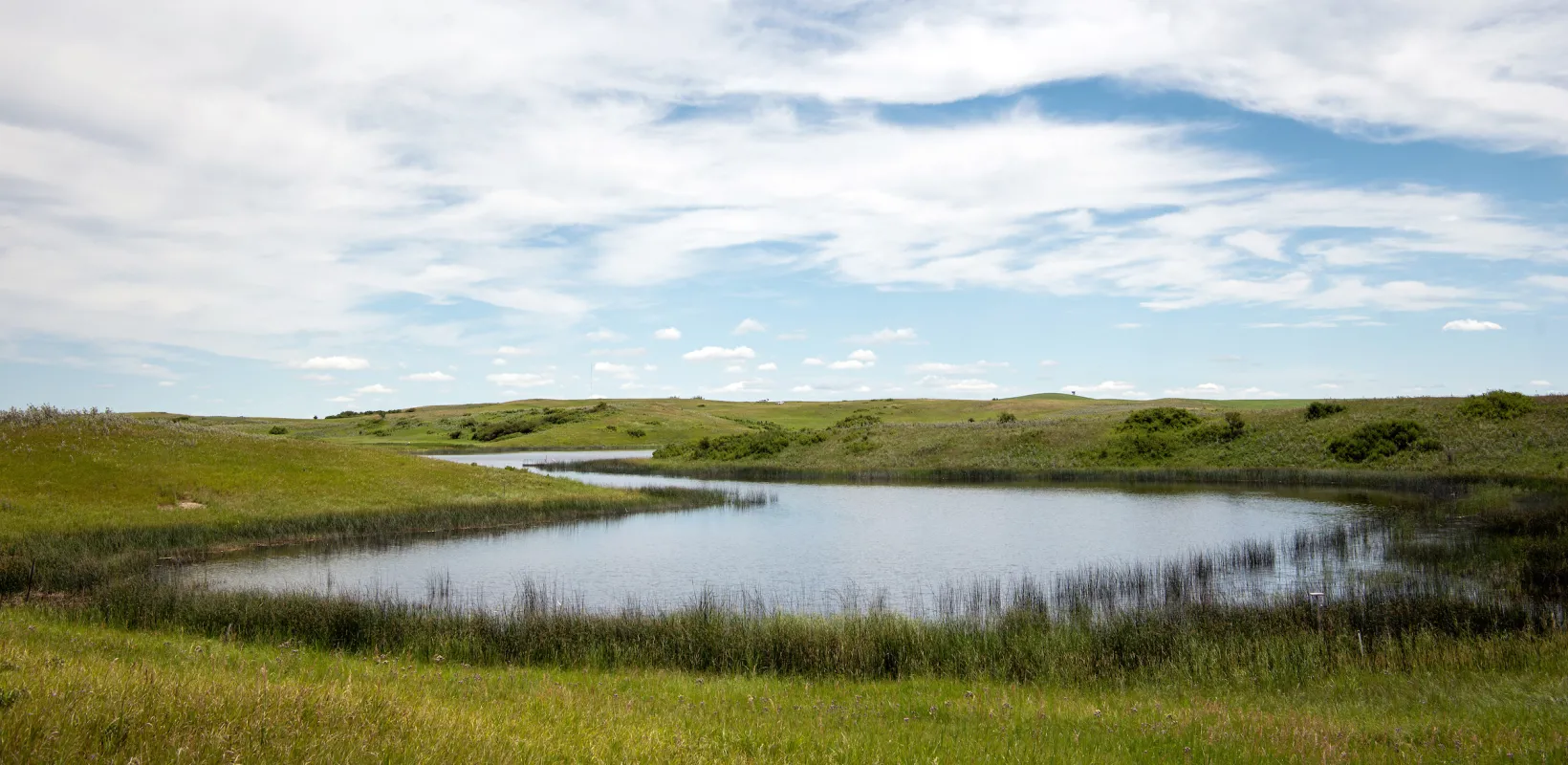 scenic view of ND wetlands that students are researching