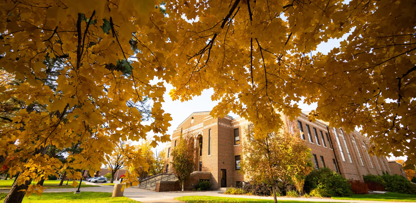 NDSU campus in the Fall.
