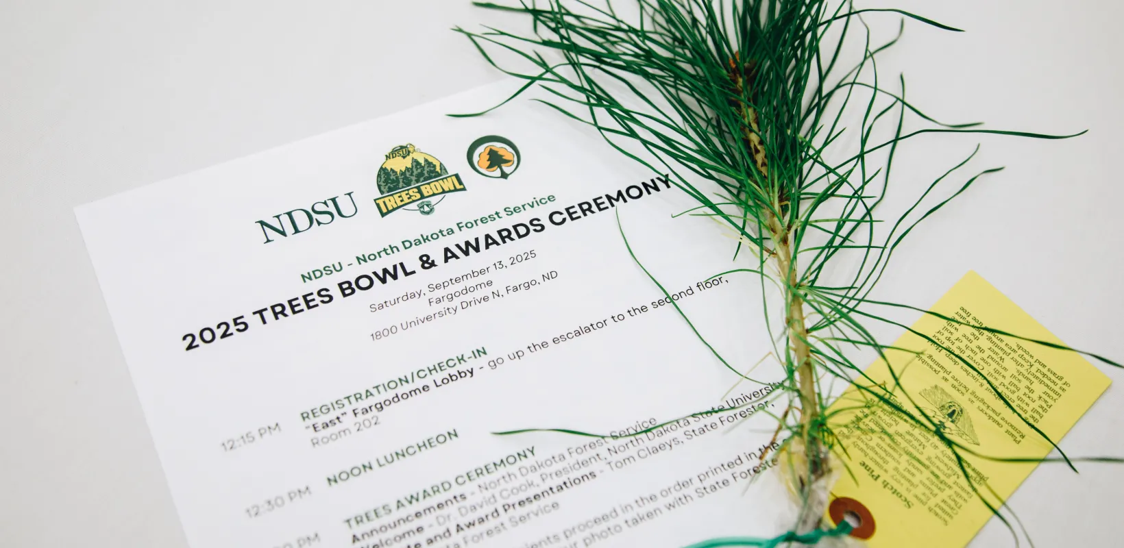 A tree seedling next to an agenda on a table