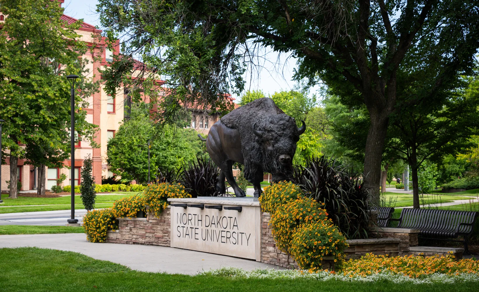 Bison Statue in Summer