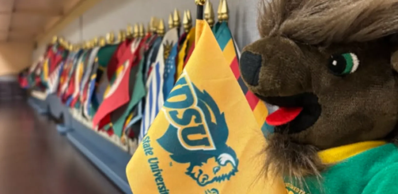 Little thunder with flags